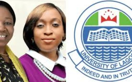 Two female Unilag lecturers win N900 million Research Grants