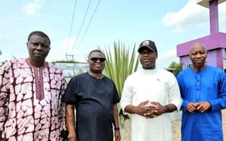 ABEOKUTA:Nigerians in Diaspora Commend Pelican Valley Estates, Invites CEO As Summit Speaker