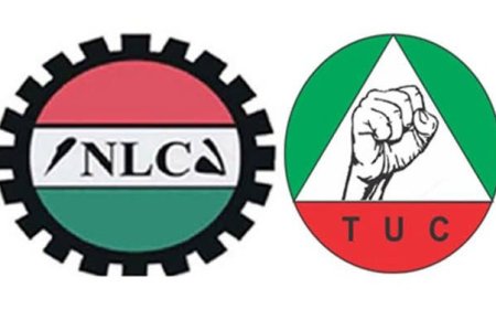 Electricity Tariff Hike Protests: FGN Unfolds Next Move After Protests, Picketing