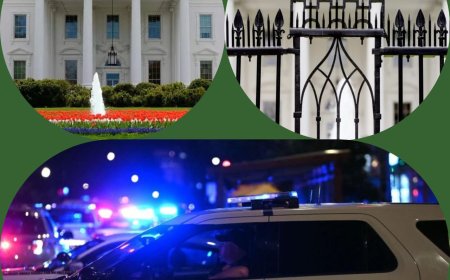 One Dead As Vehicle Crashed into White House Gate in Washington