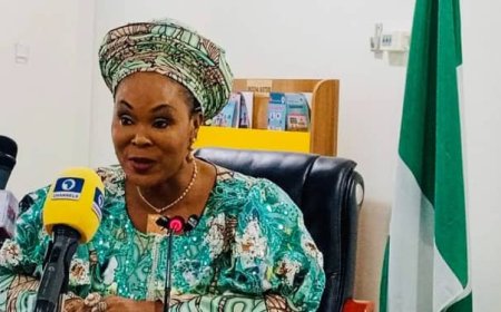 Consider the Girls' Future -Minister of Women Affairs Tells Niger Speaker