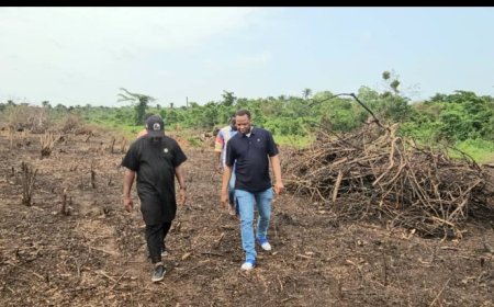 UK Based IT Guru, Funso Akinwunmi Canvases Government Support for Pelican Valley's Ingenuity, Says, Agriculture,Real Estate Are Next Oils in Nigeria