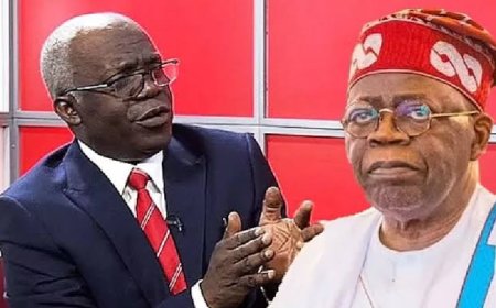 It's Illegal for Security Agencies  to Arrest Journalists for Cyberstalking -Femi Falana