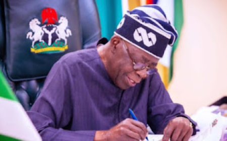 FG Constitutes Governing Boards of Tertiary Institutions Days After ASUU Threats