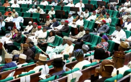 'Nigeria We Hail Thee': Reps Pass Bill to Revert to Old National Anthem