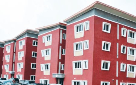 Provision of Low-Cost Housing for Nigerians May Be Difficult for Government Amidst Current Economic Realities -Realtor