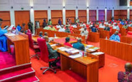 Senate Begins Public Hearing on Change of Nigeria's National Anthem, Demands Wider Consultations