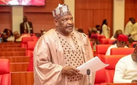 Budget Padding Allegation: Senate Recalls Suspended Senator Ningi After 77 Days, Says He is a Valuable Member