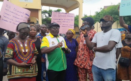 Unions Shut Down The Polytechnic Ibadan Over Mismanagement by Consultant, Demand Governing Council, Salary Increment