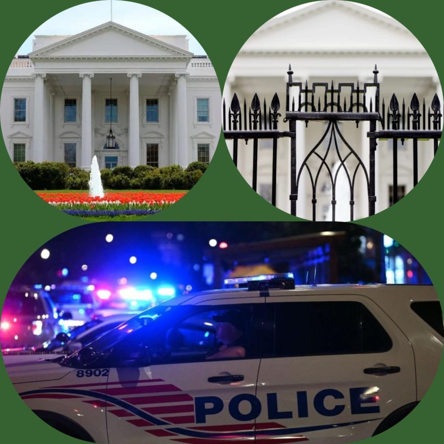 One Dead As Vehicle Crashed into White House Gate in Washington