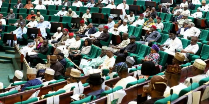 'Nigeria We Hail Thee': Reps Pass Bill to Revert to Old National Anthem