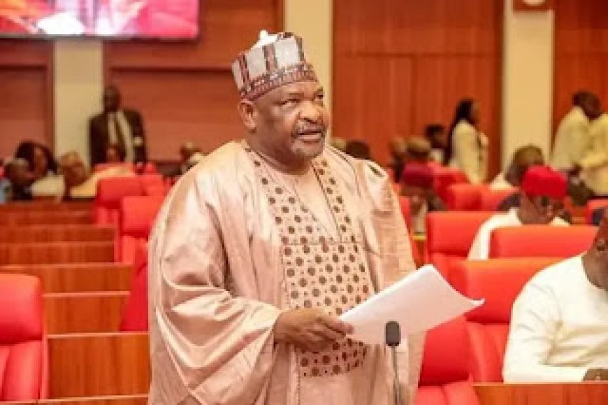 Budget Padding Allegation: Senate Recalls Suspended Senator Ningi After 77 Days, Says He is a Valuable Member