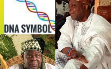 Pa Yemi Elebuibon Advocates Use of African Native Intelligence for Paternity Test, Oath of Office for Politicians