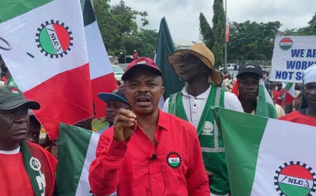 After Mother of All Strikes, FG Signs Agreement with Labour