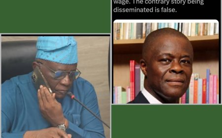 Breaking:Finance Minister, Wale Edun Has Not Proposed N105,000 Minimum Wage Says Bayo Onanuga