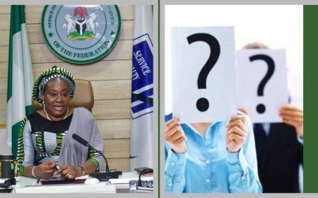 Workersgate Scandal: FG Discovers Over 1,500 Ghost Workers on Payroll