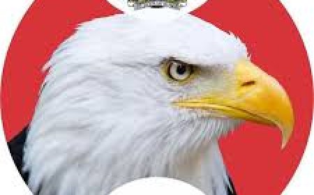 EFCC Arrests Two Ex-Bankers for Allegedly Stealing Dead Customer's Money