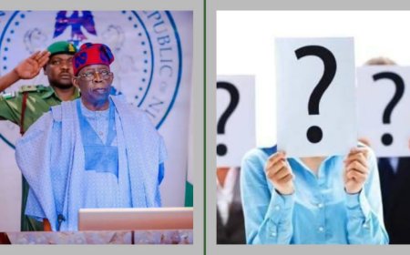 Japa Must Dapada:Tinubu Orders Sanctions for Civil Servants Still Collecting Salaries from FG After Relocating Abroad, Rewards Outstanding Workers