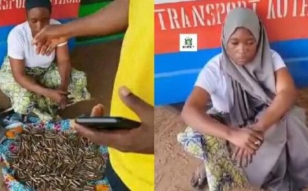 Nigerian Security Force Apprehends Woman Transporting Ammunition to Terrorists