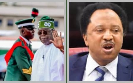 Removing Tinubu From Office Could Harm, Destroy Nigeria's Unity -Shehu Sani Warns Northern Leaders