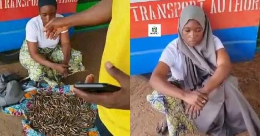 Nigerian Security Force Apprehends Woman Transporting Ammunition to Terrorists