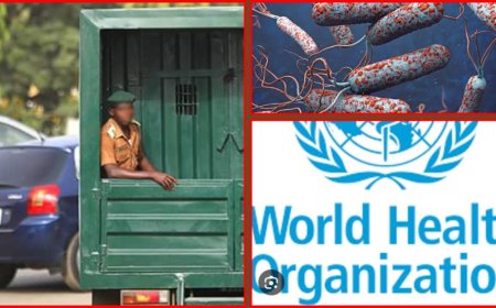 Kirikiri Maximum Prison Cholera Outbreak Prompts WHO Intervention in Lagos