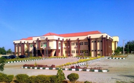 Terrorists Murder Another Nigerian University Lecturer, Kidnaps His Children