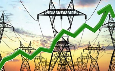 Nigerian Universities Should Generate Their own Electricity Instead of Depending on the National Grid -Experts Propose