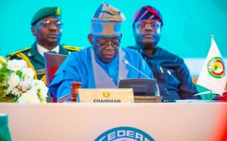 I Am Not Afraid of Protests,I'm Only Concerned About Possible Destruction of Public Properties By Thugs- Tinubu
