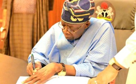 President Tinubu Authorizes Duty-Free Importation of Rice, Wheat, Beans,Other Food Commodities to Ease Cost-of-Living Burdens of Nigerians