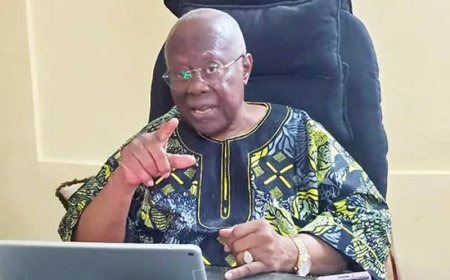 Nigeria Must Establish State Police to Combat Rising Insecurity - Bode George
