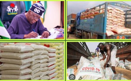 FG Rolls Out Additional 10 Trucks of Affordable Rice to States Across the Federation