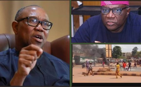 Hold Peter Obi and His Malcontents Responsible for Any Violent Protests in Nigeria - Onanuga