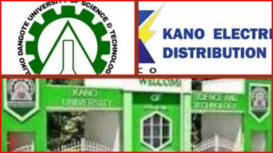 Aliko Dangote University in Darkness As KEDCO Disconnects Power Over N248 Million Debt