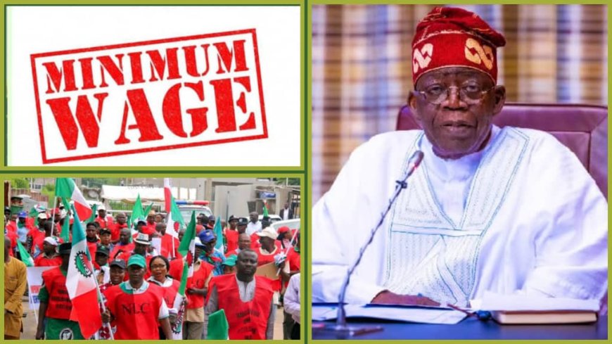 Minimum Wage:Outcome of President Tinubu's Meeting With Labour Revealed