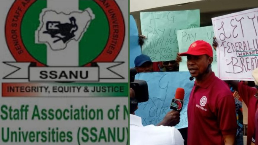 Protests Rock Public Universities in Nigeria As SSANU Begins Warning Strike Over Unpaid Salaries, Disrupts Activities