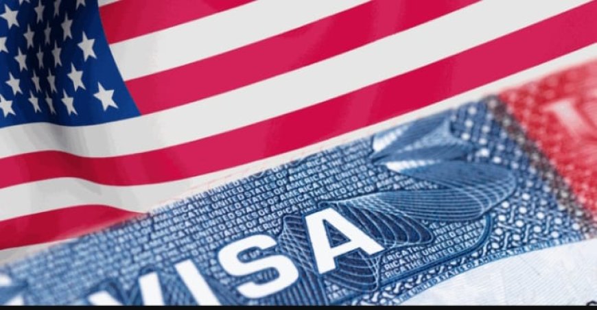 United States Fast-Tracks Visa Process for Nigerian Graduates With Job Offers