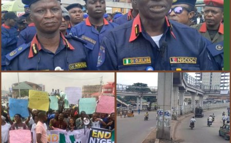 Citizens United Against Hunger Stage Protest at Moshood Abiola Stadium Abuja,Ogun State is Calm and Peaceful Says NCDC Commandant