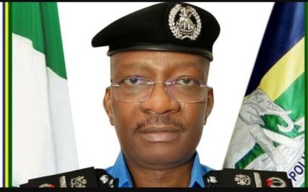 August 1st Hunger Protests:One Police Officer Killed, Many  Officers Injured During Protests Says IGP Egbetokun,Puts Nigeria Police on Red  Alert