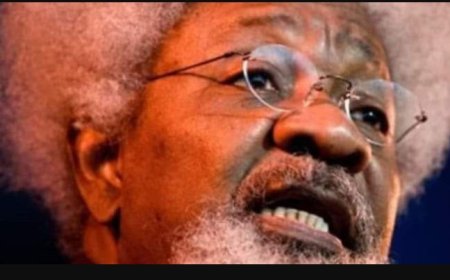 Wole Soyinka Criticizes Tinubu for Failure to Highlight Police Brutality During National Address