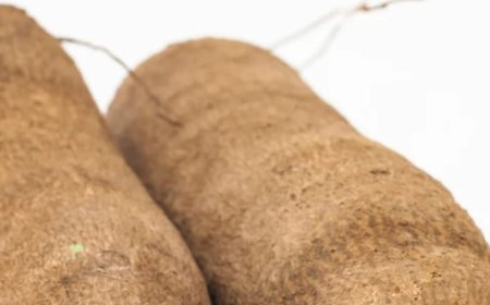 I Stole Yam on Two Ocassions Because I was Hungry- 40-Year-Old  Man Confesses Before Kaduna Court