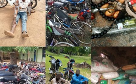 SECURITY-Nigerian Army Rescues Kidnapped Victims,Captures Boko Haram Commanders in Series of Raids