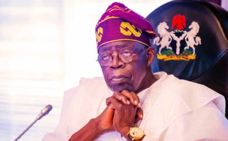 Tinubu Appoints New Governing Council For Abeokuta Federal University of Medicine, Medical Sciences, Other Federal Tertiary Institutions