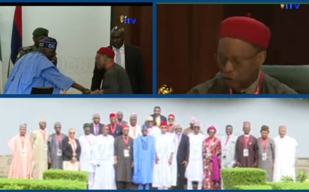 Former Commonwealth Secretary General, Anyaoku, Others Visit Tinubu, Call for New Constitution, Dialogue With Protesters