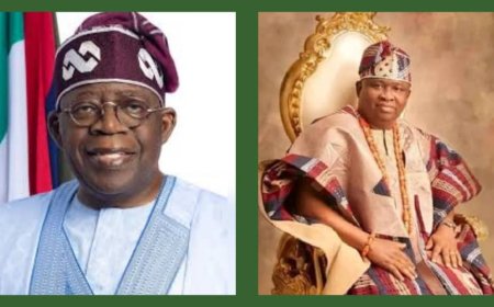 President Tinubu Celebrates Senator Olamilekan Adeola's Birthday, Praises His Legislative Contributions to Nigeria