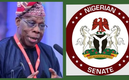 We Neither Determine Our Salaries Nor Receive Special Fiscal Packages From The President -Senate Replies Obasanjo