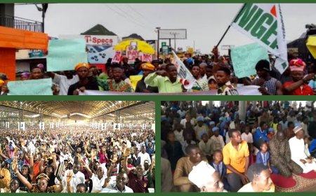37-Million-Man Grand Finale #EndBadGovernance March Flops Nationwide As Nigerians Turn to Prayers For Solution to Hunger