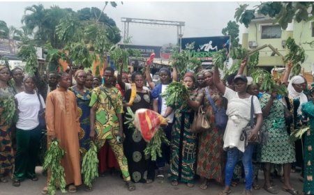 ABEOKUTA -Traders Protest After Another Market Invasion, Carting Away Bags of Rice Worth N20 Million By Nigerian Customs Service Amid Commencement of Tariffs Waivers on Food Commodities