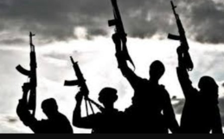Black Friday Hits Nigeria With Twin Kidnappings of Commissioner, Wife, 20 Medical Students in Kogi and Benue States