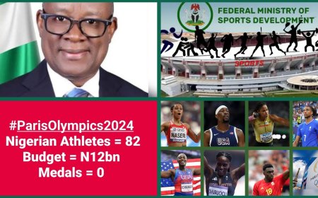 N12 Billion Paris Olympic Tourism: A Wasteful Blow To Nigeria's Fragile Economy, Sports Development Drifting Backwards in Nigeria - Ogun SWAN Chairman